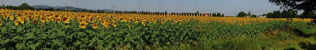 Il Sole Bed & Breakfast Forli