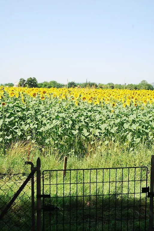 Il Sole Bed & Breakfast Forli
