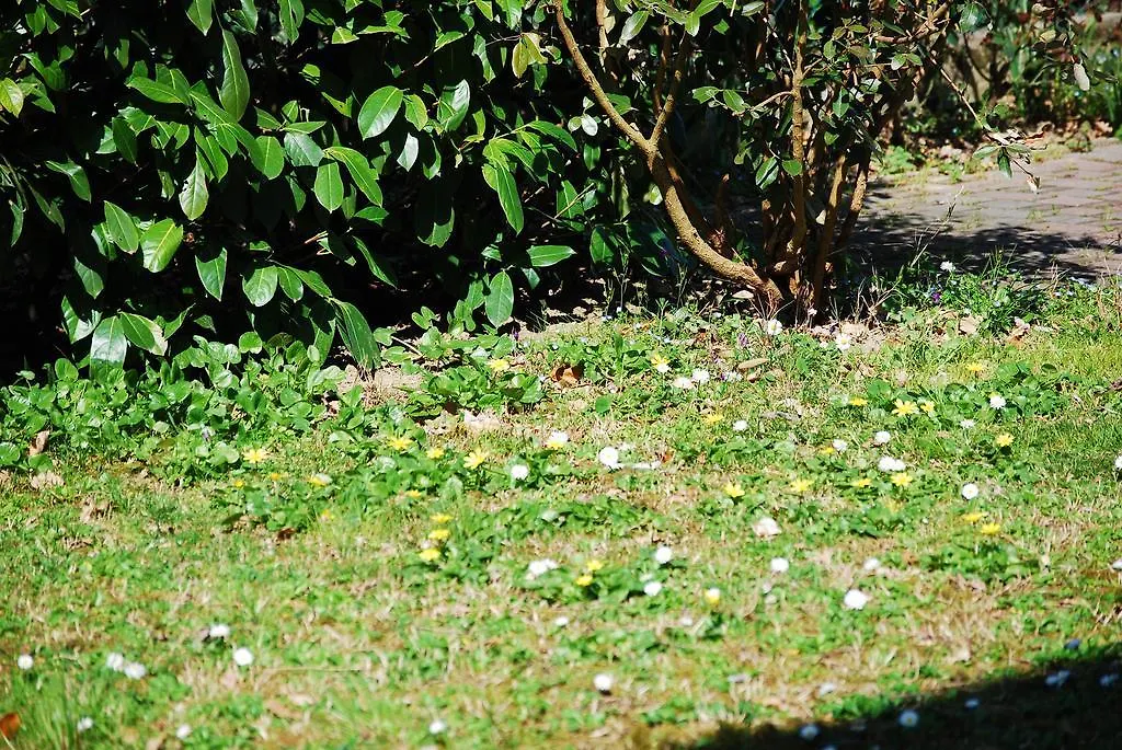 Il Sole Bed & Breakfast Forli Italy